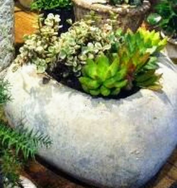 Busco recomendaciones 2