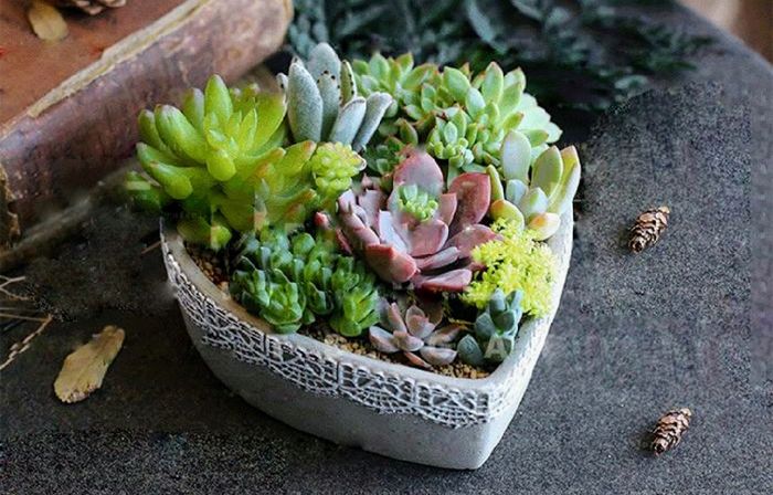 Busco recomendaciones 3