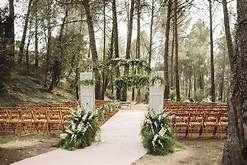 BOSQUE DE MAZAMITLA