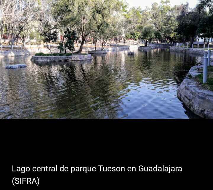 Lugar para sesión de fotos. - 3