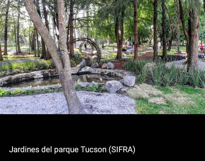 Lugar para sesión de fotos. - 4