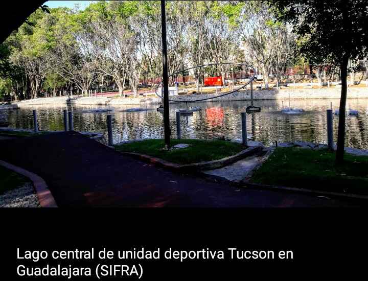 Lugar para sesión de fotos. - 5