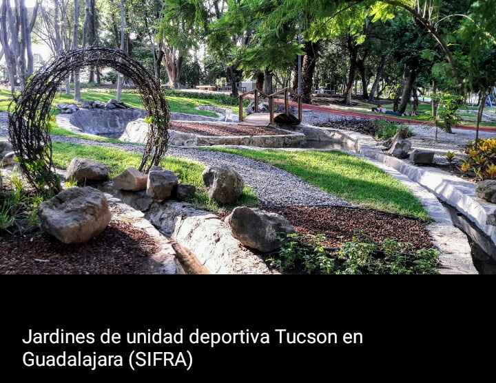 Lugar para sesión de fotos. - 6