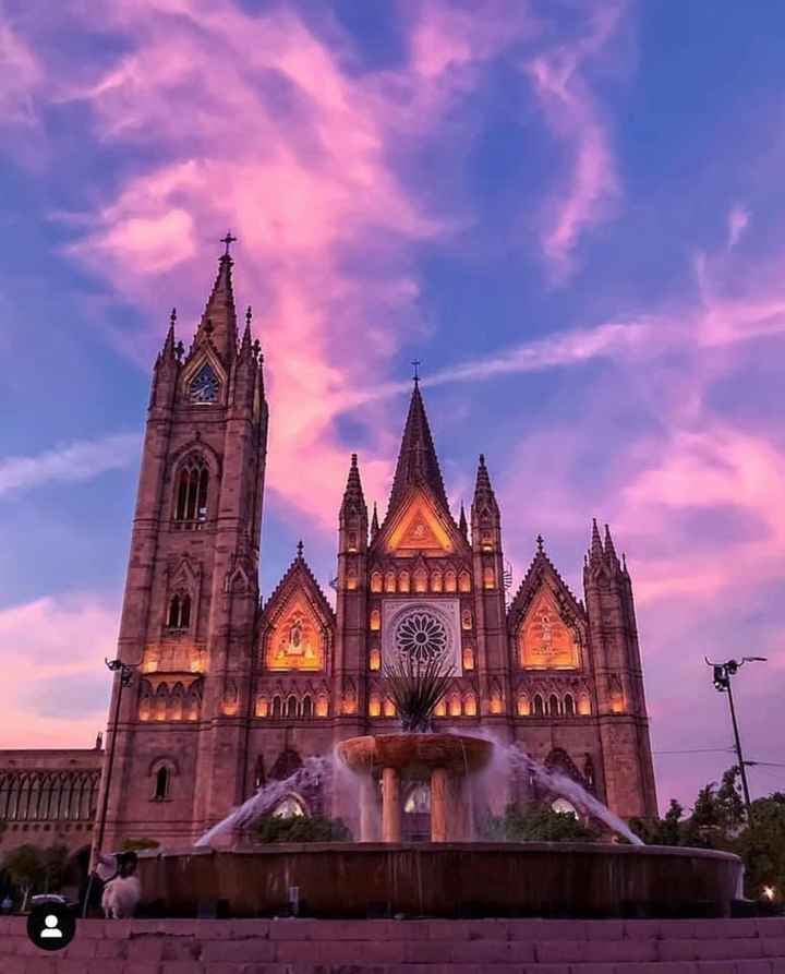 Save the date peludo - 1