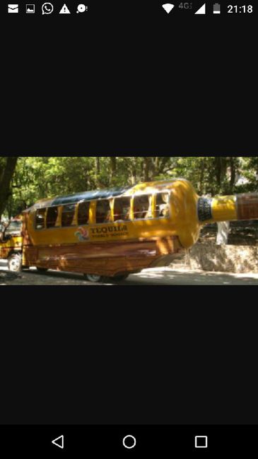 Luna de miel, visita a ciudades!a tequila, jalisco! - 8