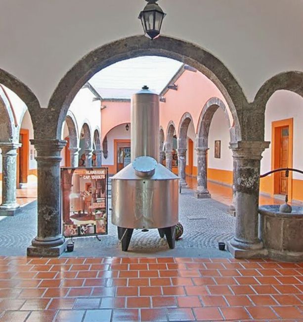 Luna de miel, visita a ciudades!a tequila, jalisco! - 15