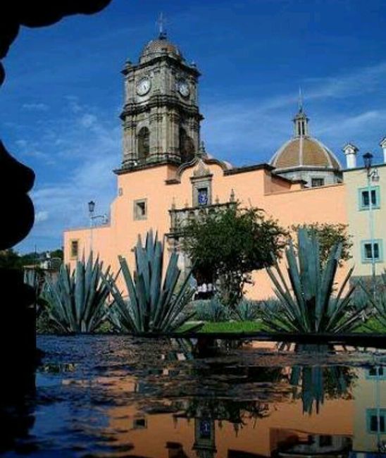 Luna de miel, visita a ciudades!a tequila, jalisco! - 26