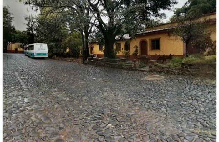 Luna de miel, visita a ciudades!a tequila, jalisco! - 27