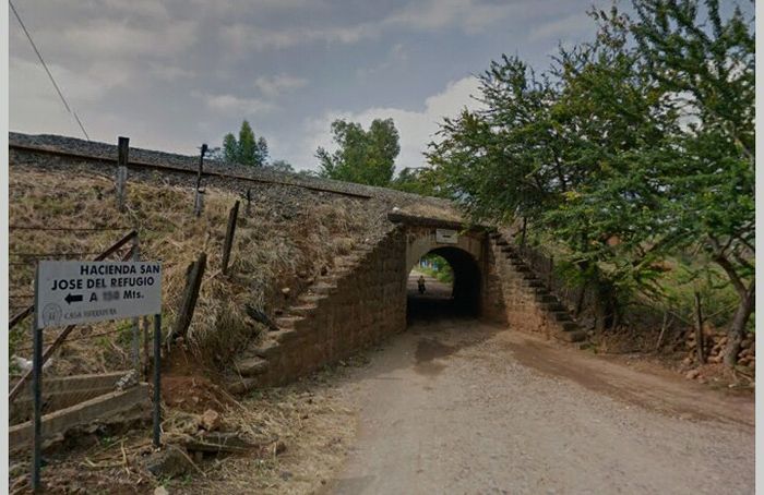 Luna de miel, visita a ciudades!a tequila, jalisco! - 32