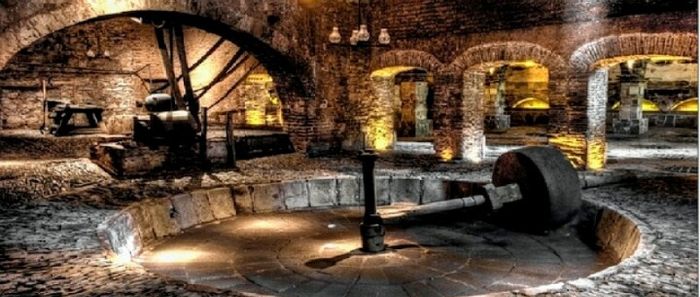 Luna de miel, visita a ciudades!a tequila, jalisco! - 33