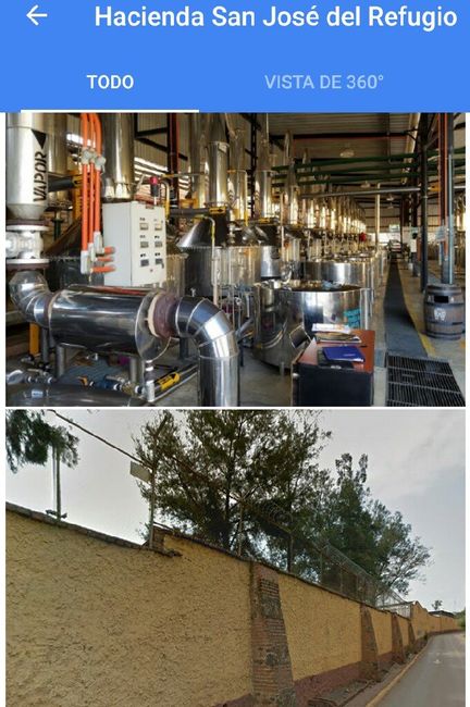 Luna de miel, visita a ciudades!a tequila, jalisco! - 36