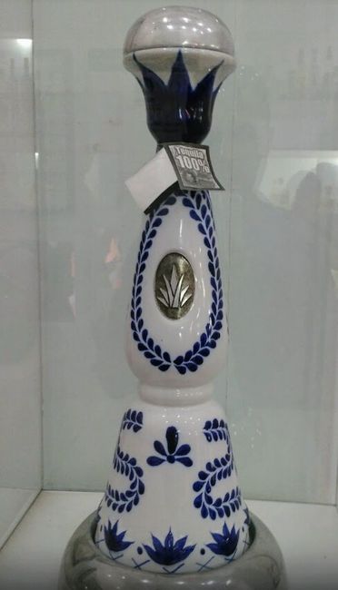 Luna de miel, visita a ciudades!a tequila, jalisco! - 43