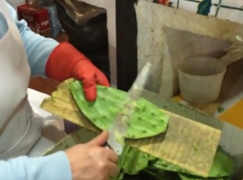 Luna de Miel,al bosque de Mazamitla!parte 1. El pueblito - 34