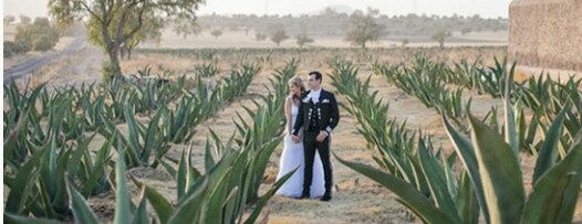 colores para una boda mexicana - 10
