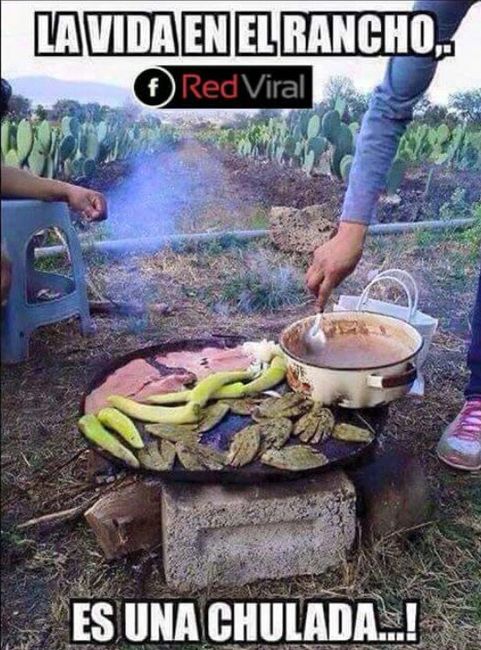 Visitar Cocula, Jalisco; juntos, la tierra del mariachi... - 26