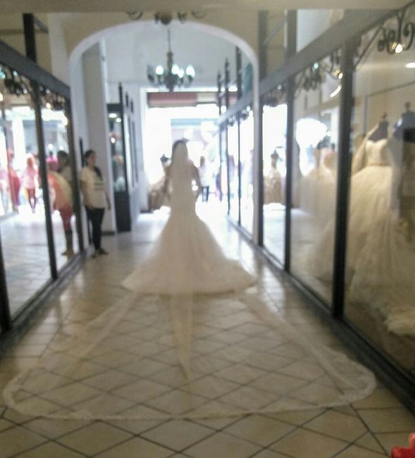 Wedding File B&C 5