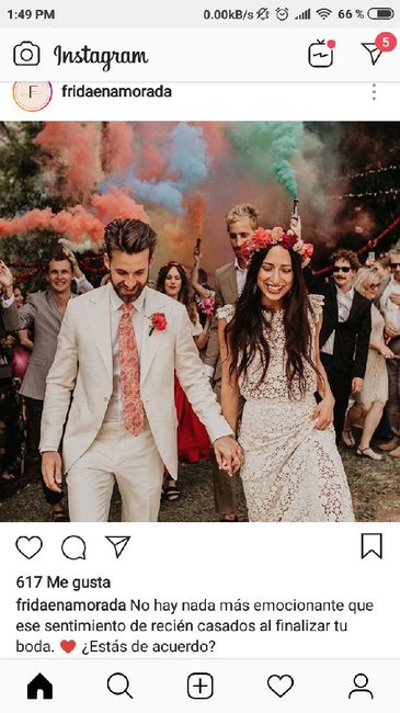 Encontré mi corona de flores naturales! - 3