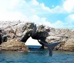 Islas Marietas