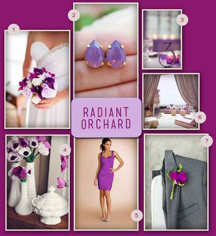 Orquídea Radiante