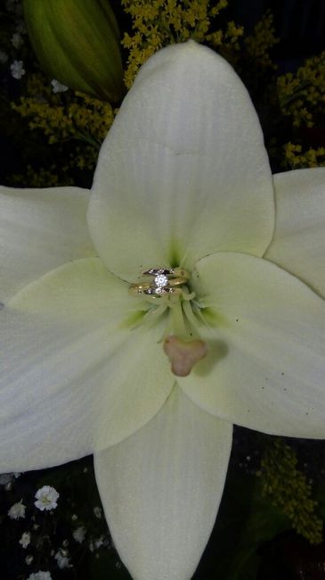 ¡Muestren su anillo! - 1