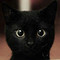 Fanny_Cat23