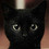 Fanny_Cat23