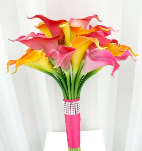 Hermosos ramos.. !!! - 6