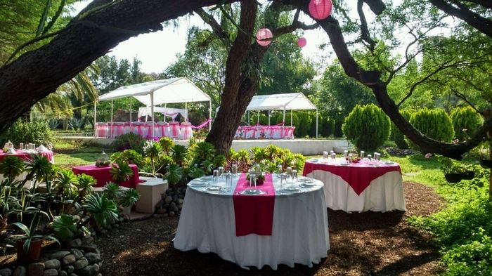 Quien se casa en querétaro - 6