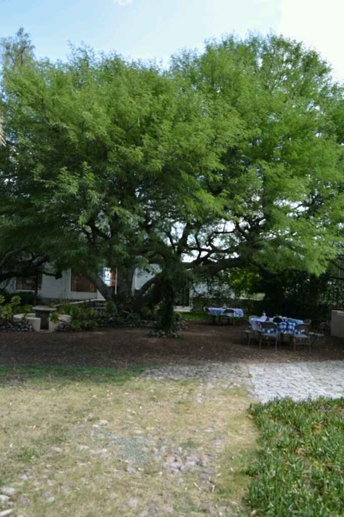 Al fin mi jardín!!! vergel resorts querétaro - 2