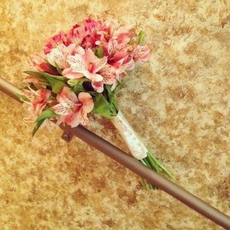 Ramo para aventar <img class=