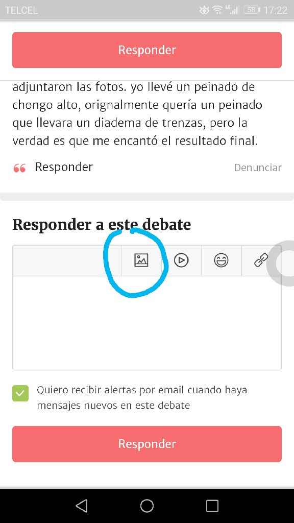 Peinados - 1