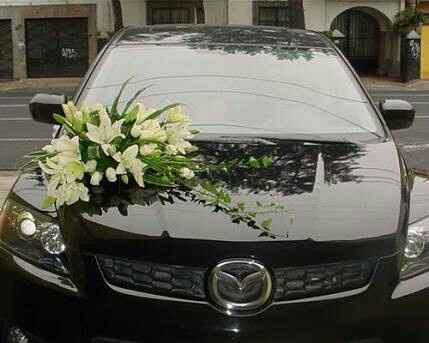 En que 🚗 tienen pensado??? - 5