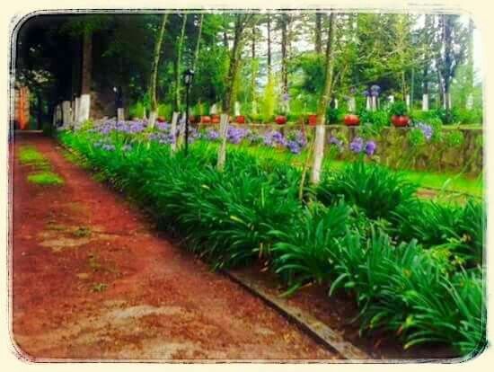 Ya tenemos lugar de recepcion!!!! - 3