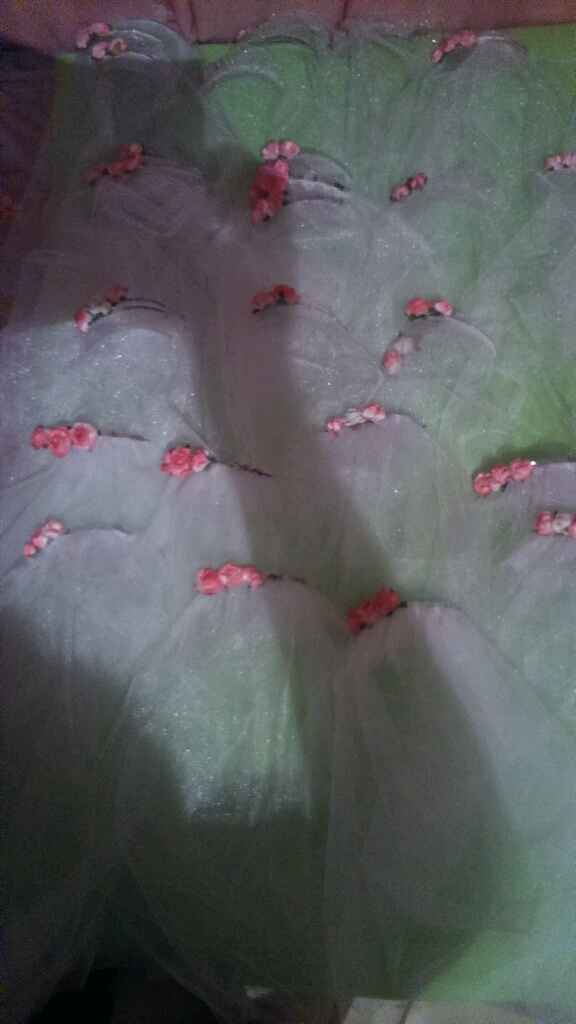 Avances a tan solo 72 dias - 3