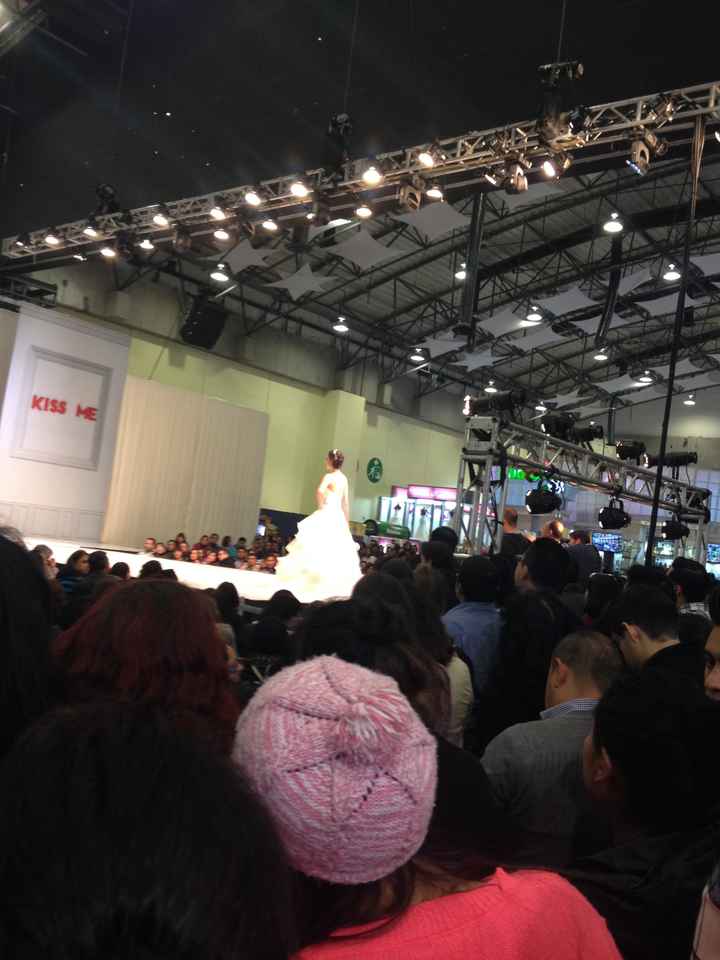 desfile expo