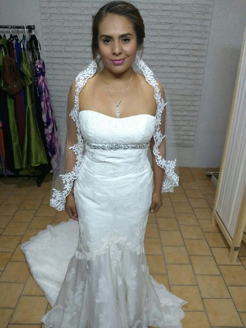 Mi vestido y mi velo !!!! - 1