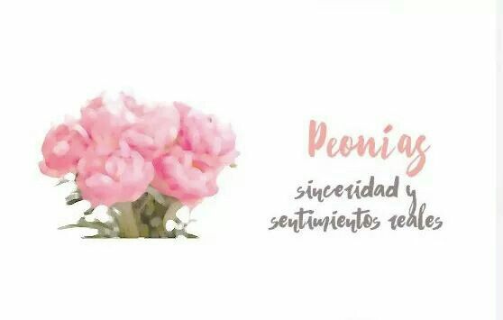 Significado de flores  🌸🌷 - 4