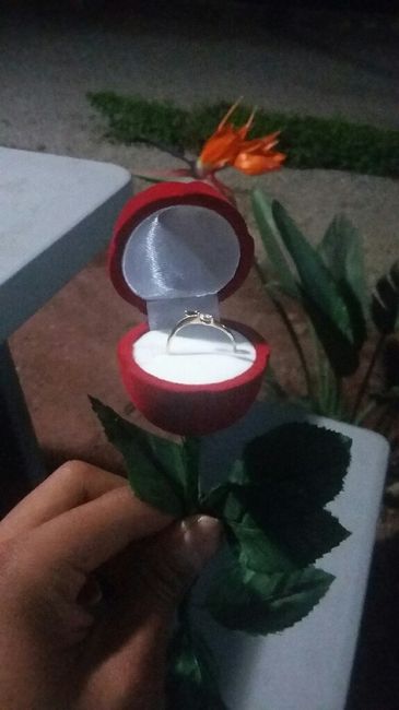 Fotos lindas con su anillo de compromiso - 1