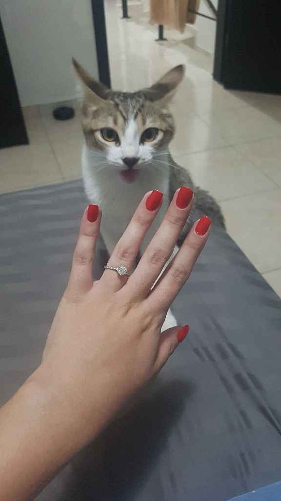Muestren su precioso anillo ❤️!!!! - 1