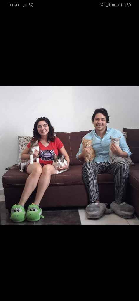 🐱 ¿Adoptarán alguna mascota cuando se casen? 🐶 - 2