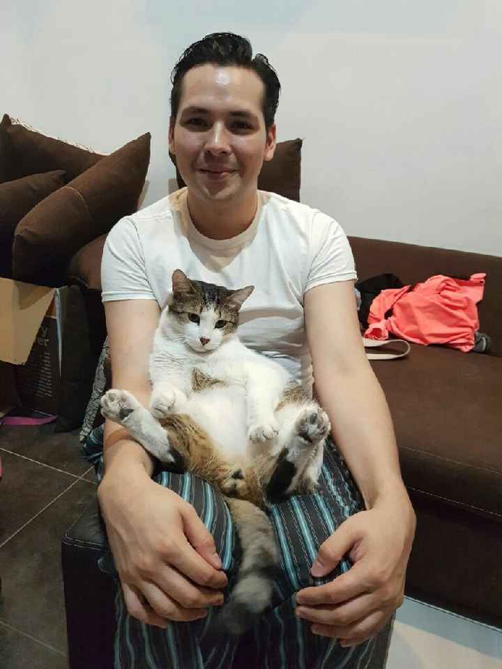 Presuman a su chico ( amor de su vida) ? - 2