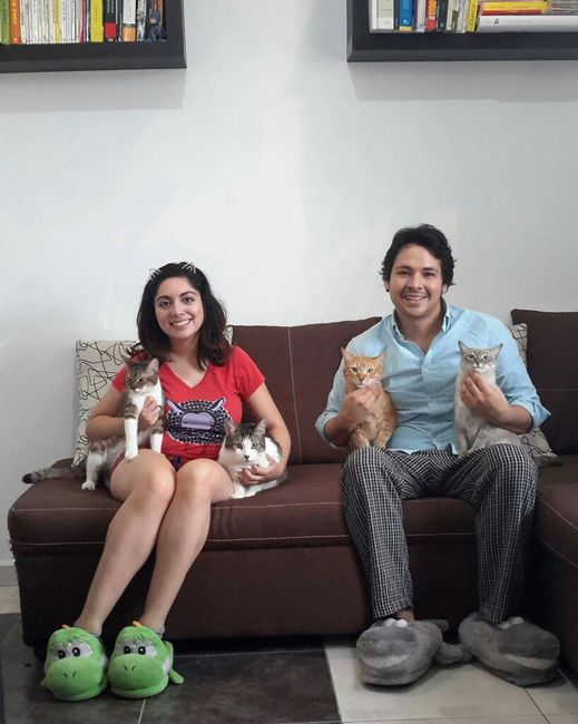 Novias gatunas 😀🐈 - 1