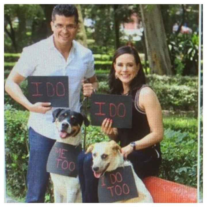 Conoce a mi mascota - 1