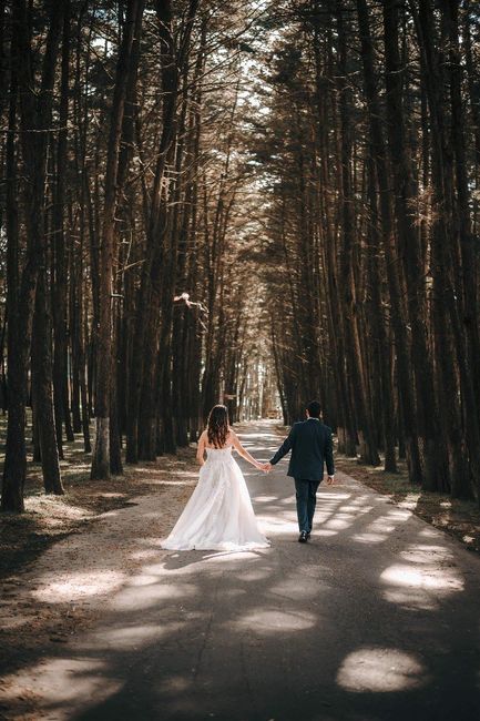 Trash the dress 💜💍 - 8