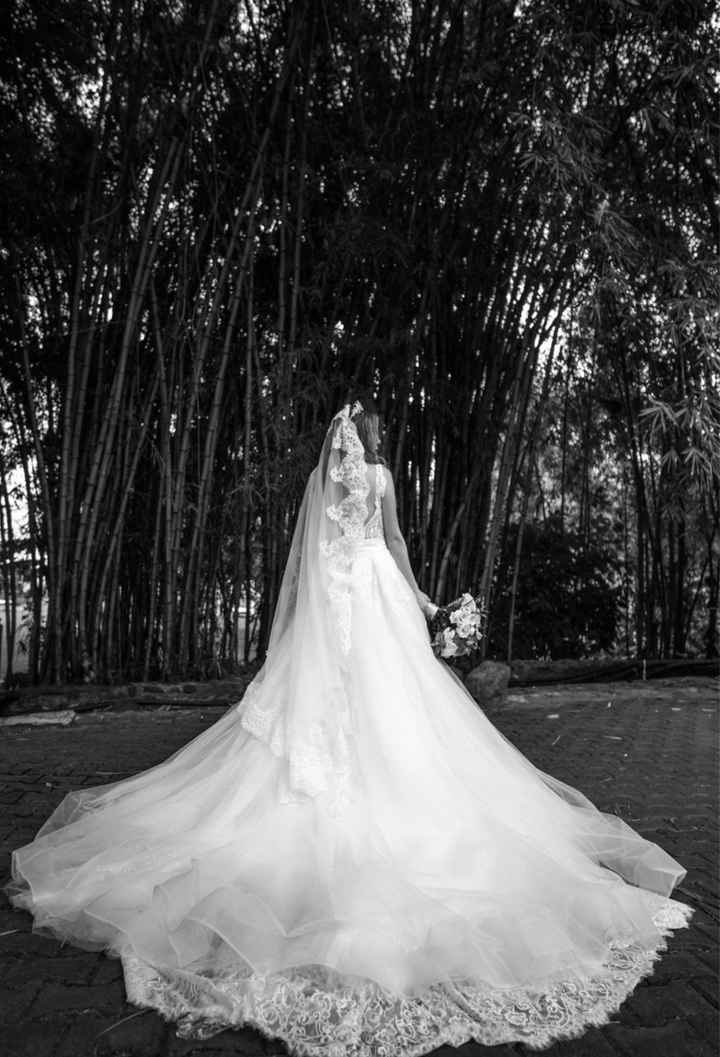 Say Yes to the Dress: Cauda - 1