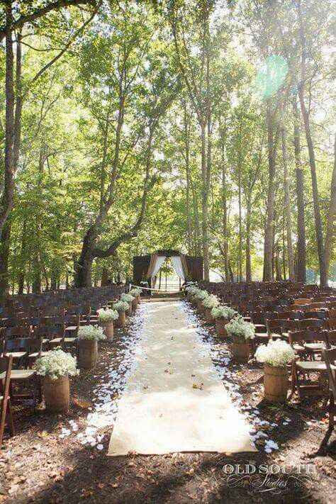 Boda en el bosque 🌳🌲🍃 - 3
