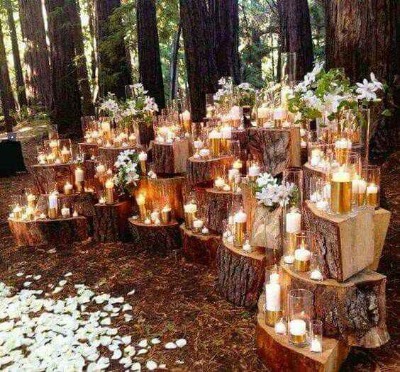 Boda en el bosque 🌳🌲🍃 - 12