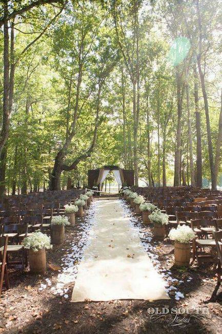Boda en el bosque 🌳🌲🍃 - 3