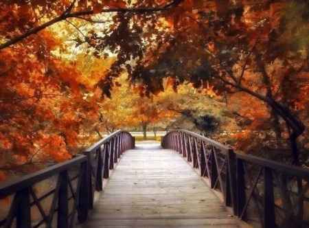 otoño...