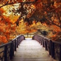 otoño...